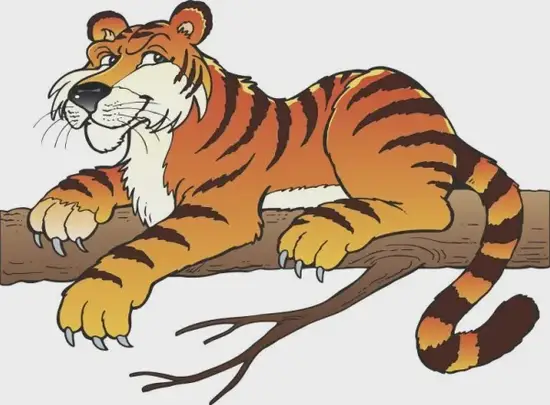 生肖虎正确发音图解