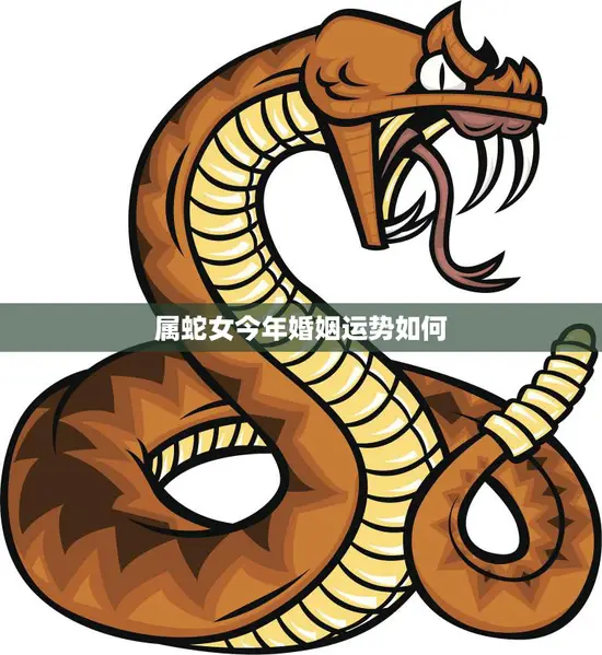 属蛇女今年婚姻运势如何(解析2023年属蛇女的婚姻运势)