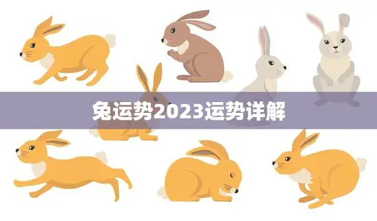 兔运势2023运势详解(兔年运势大揭秘)