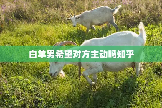 白羊男希望对方主动吗知乎(揭秘白羊男内心真实想法)