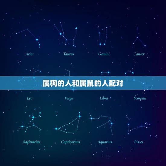 属狗的人和什么属相配(配对指南)