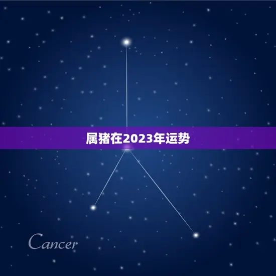 属猪在2023年运势(财运亨通事业顺利)