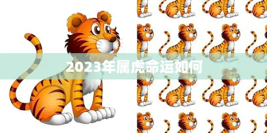 2023年属虎命运如何(预测运势逐渐回升需谨慎与稳定)