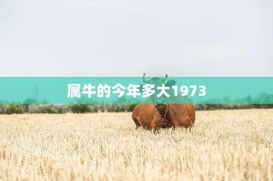 属牛的今年多大1973(回顾1973年属牛人的岁何)
