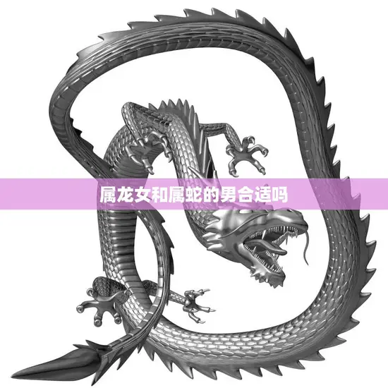 属龙女和属蛇的男合适吗(星座配对解析)