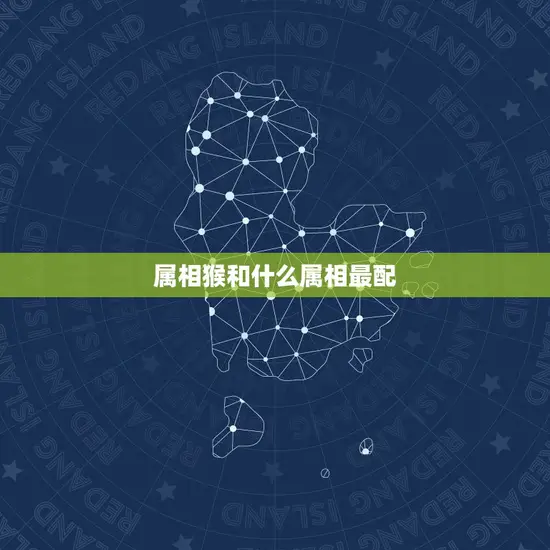 属相猴和什么属相最配(十二生肖配对大介绍)