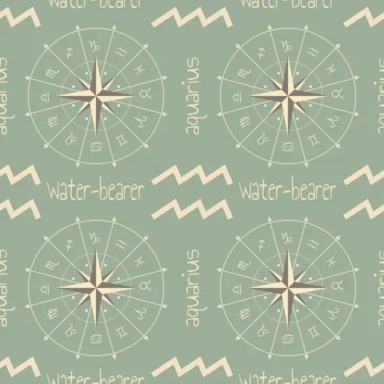 苏珊米勒水瓶座23年运势(未来二十三载星象指引前途无限)