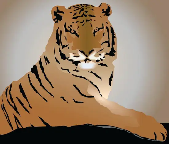 1986年的虎一生运势(未来五十年的命运展望)