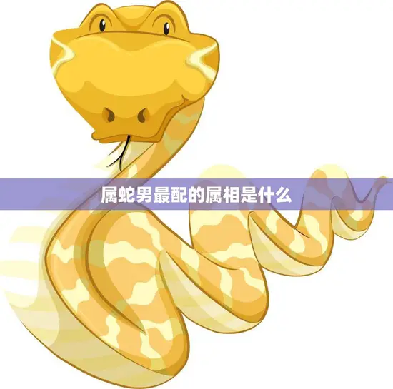 属蛇男最配的属相是什么(揭秘最佳配对星座是TA)