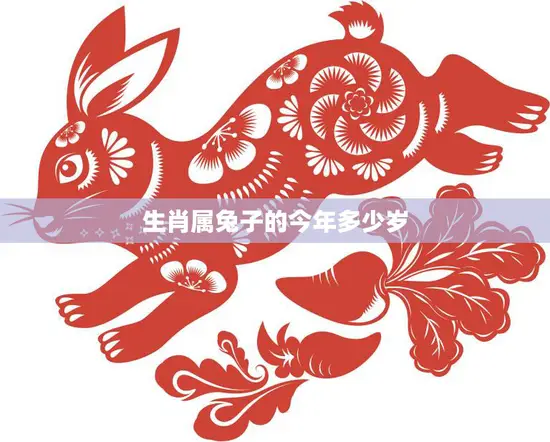 生肖属兔子的今年多少岁(2023年属兔人的年龄计算方法)