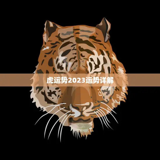 虎运势2023运势详解(猛虎崛起运势大好)
