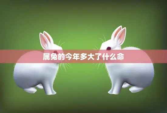 属兔的今年多大了什么命(2023年属兔人的运势如何)
