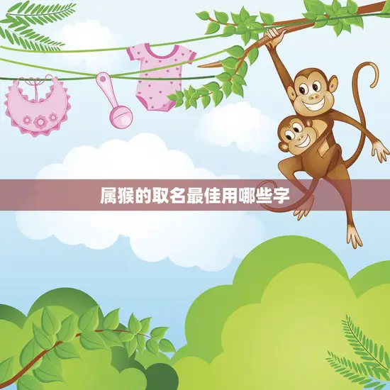属猴的取名最佳用哪些字(如何给猴宝宝取名)