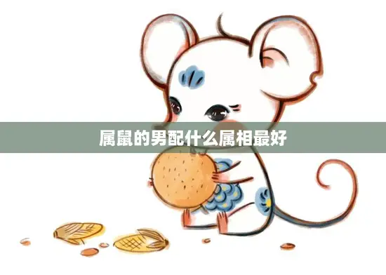 属鼠的男配什么属相最好(如何选择最佳配偶)