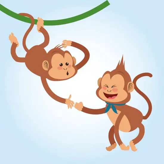 1980年属猴人的财位(如何提升财运)