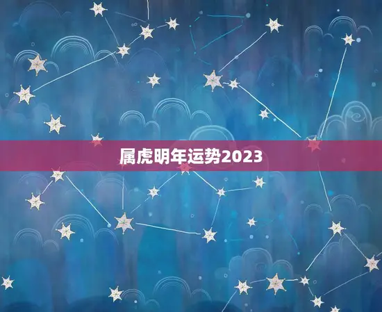 属虎明年运势2023(虎虎生威财运亨通)