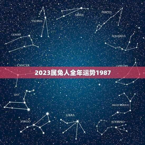 2023属兔人全年运势1987（事业、健康、财富、感情方面的运势）