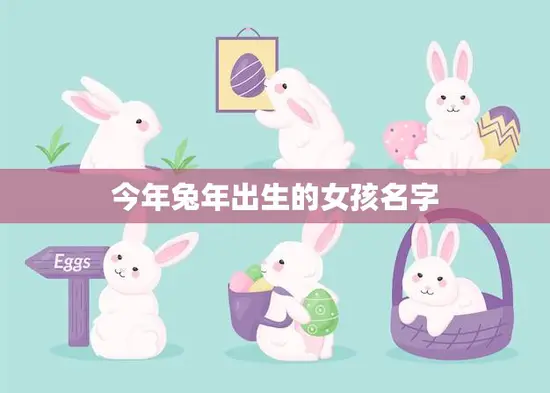 今年兔年出生的女孩名字(寓意吉祥美好的选择)