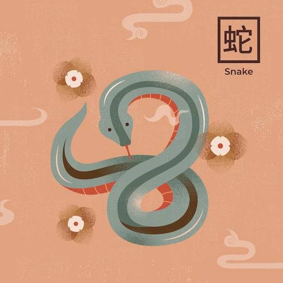 属蛇女婚配哪个属相最好(如何选择最佳配偶)