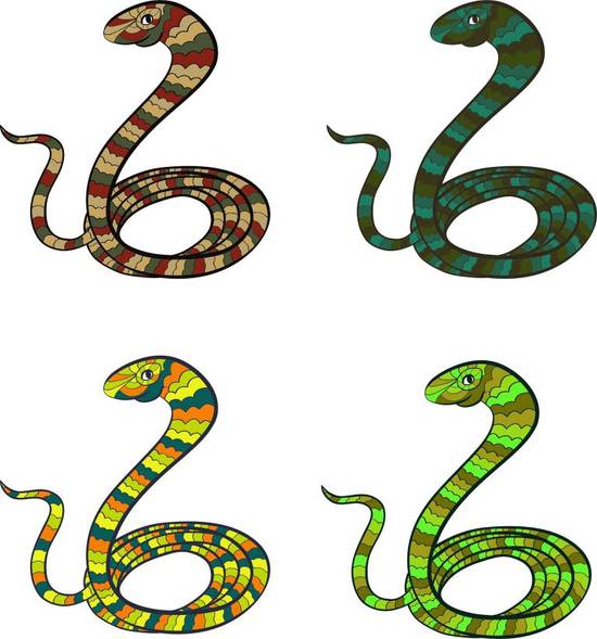 属蛇男人婚配属什么女人(如何选择最佳配偶)