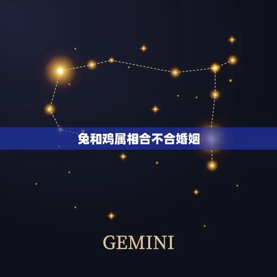 兔和鸡属相合不合婚姻(你们真的适合在一起吗)