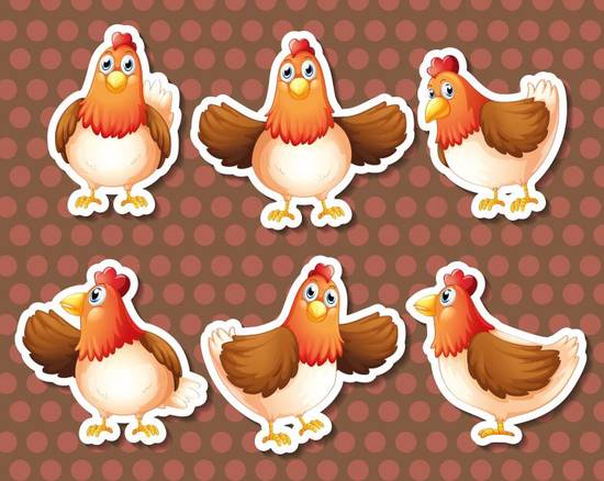 属鸡几点出生最好命女孩(如何选择最佳出生时间)