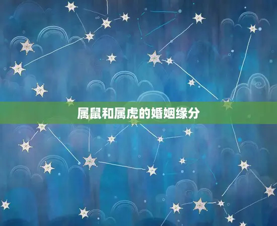属鼠和属虎的姻缘如何(介绍属鼠属虎的婚姻缘分)