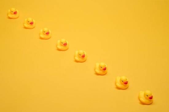 69年属鸡的婚外情今年(鸡年桃花旺婚姻危机频发)