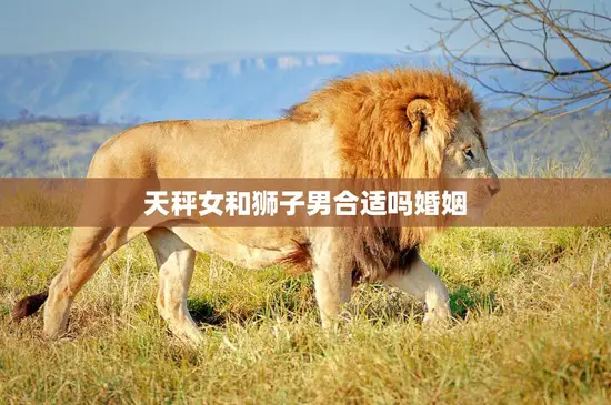 天秤女和狮子男合适吗婚姻(星座配对分析)