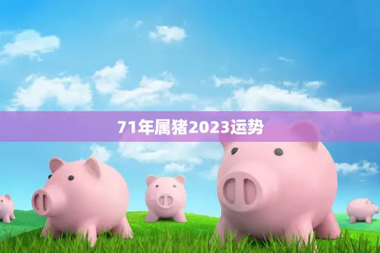 71年属猪2023运势(猪年大吉财运亨通)