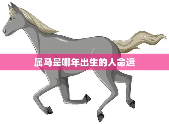 属马是哪年出生的人命运(马年人的命运如何)