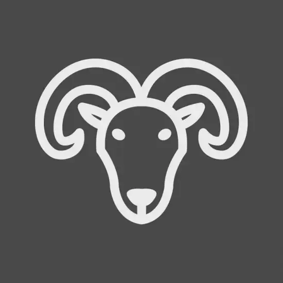 白羊座急性子特征展示