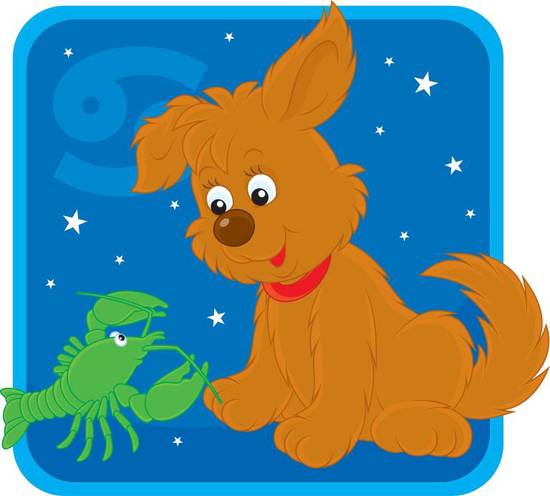 巨蟹座男跟天秤座女合适吗(星座配对分析)