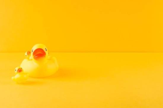 属鸡的人2023年运程(顺风顺水财运亨通)