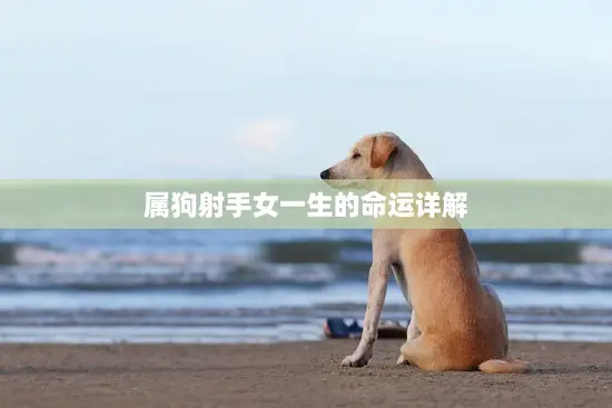 属狗射手女一生的命运详解(星座解析)