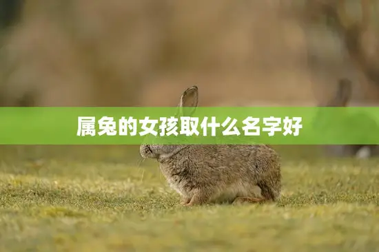 属兔的女孩取什么名字好(如何选择适合属兔女孩的名字)