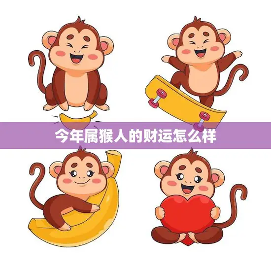 今年属猴人的财运怎么样(猴年大丰收)
