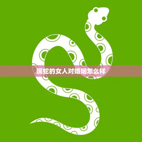 属蛇的女人对婚姻怎么样(幸福还是孤独终老)