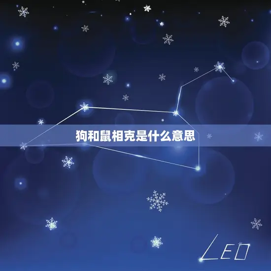 狗和鼠相克是什么(介绍狗和鼠的关系)