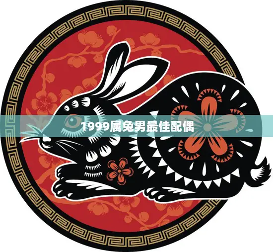 1999属兔男最佳配偶(如何选择最适合的伴侣)