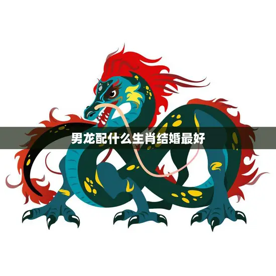 男龙配什么生肖结婚最好(如何选择最佳配偶)