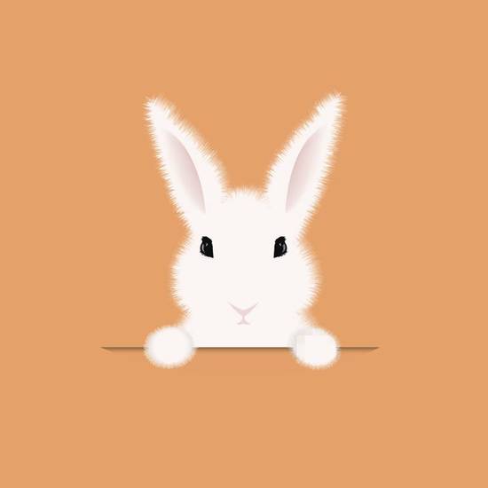 兔年今年的运势怎么样呢(2023年兔年运势大揭秘)