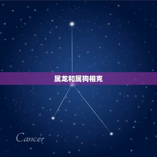 属龙和什么属什么相克(十二生肖相克大介绍)