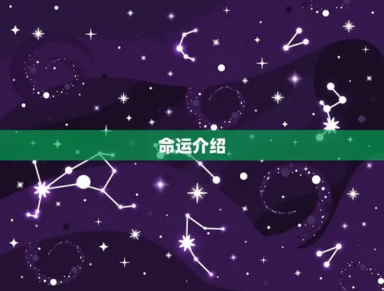 十一月出生兔女好不好(性格特点与命运介绍)