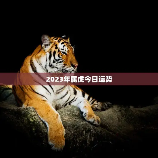 2023年属虎今日运势(好运连连财源滚滚)