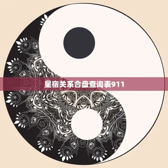 星宿关系合盘查询表911(解读星座关系)
