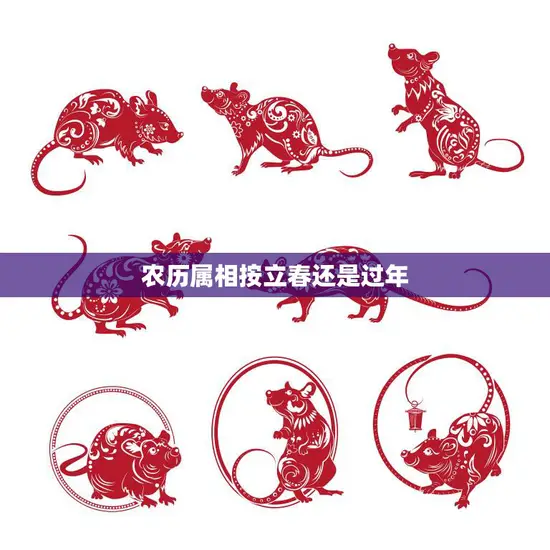 农历属相按立春还是过年(如何确定你的生肖)