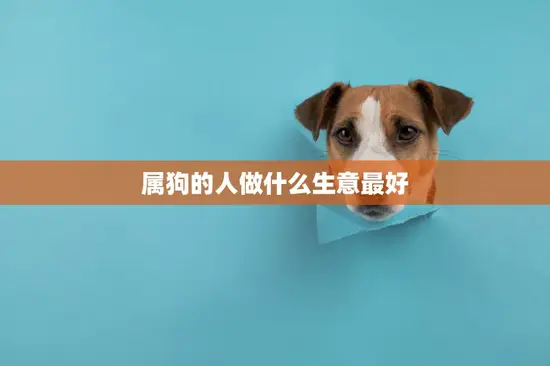 属狗的人做什么生意最好(聪明投资创业致富)