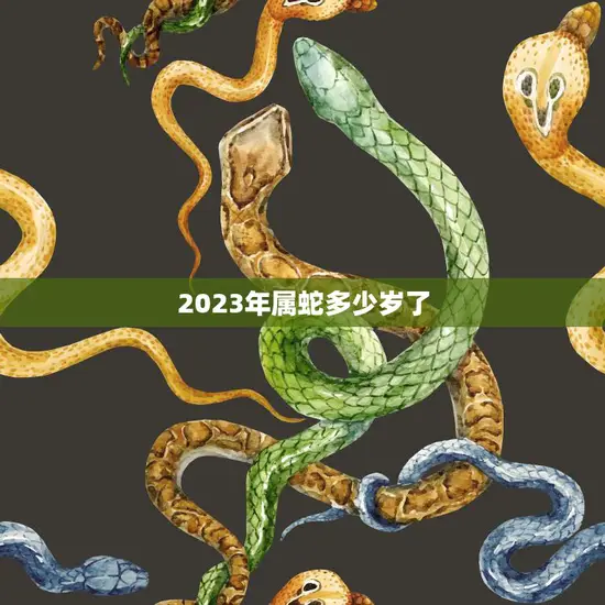 2023年属蛇多少岁了(蛇年人的年龄计算方法解析)