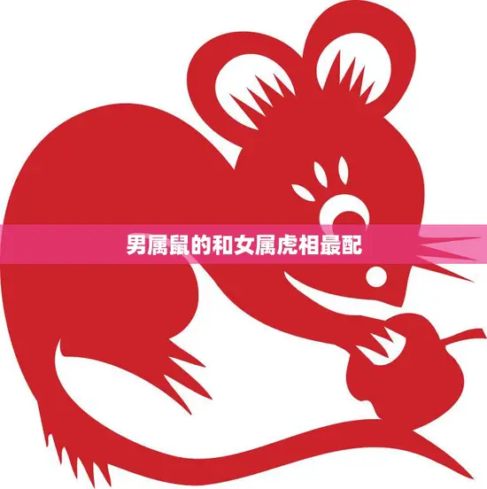 男属鼠的和女属虎相最配(如何搭配)